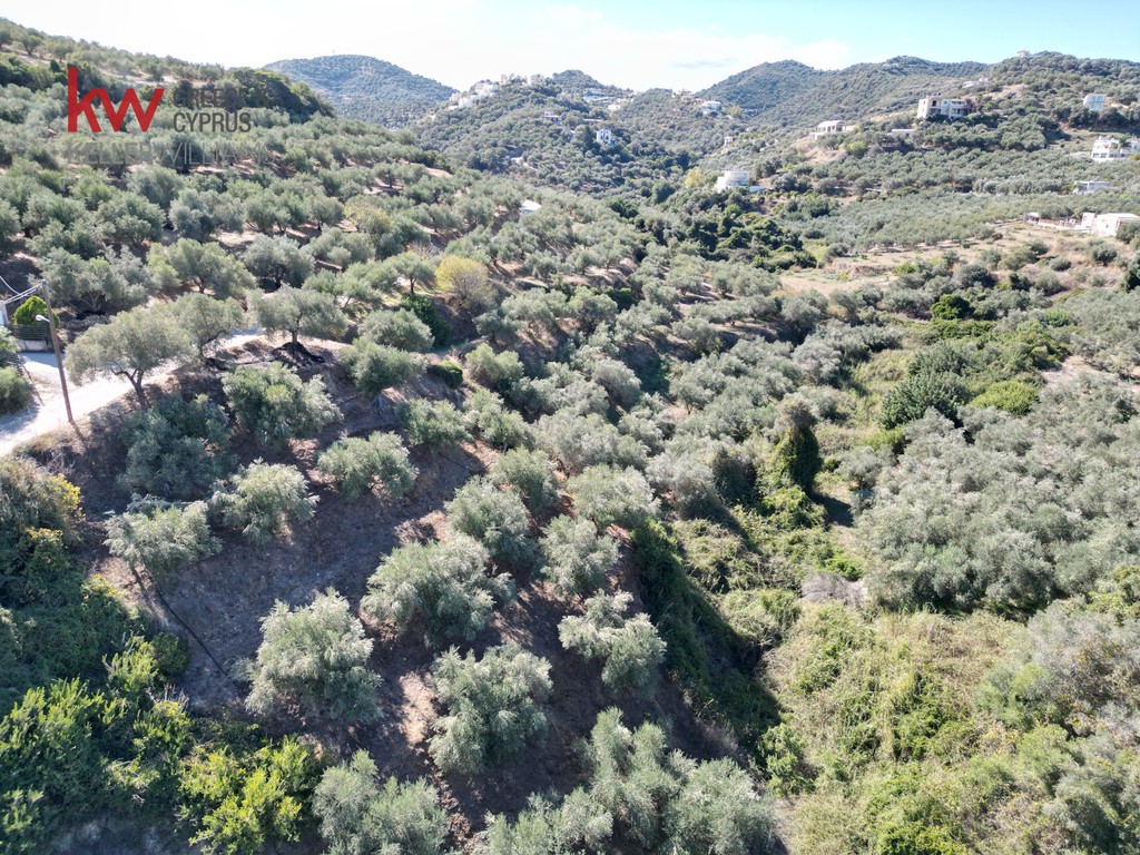 Οικόπεδο 4.245,70 τ.μ. προς πώληση, Σταλός