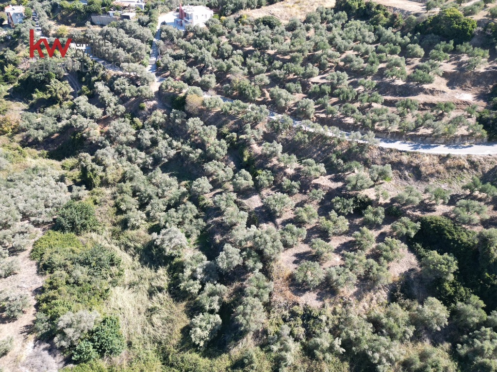 Οικόπεδο 4.245,70 τ.μ. προς πώληση, Σταλός