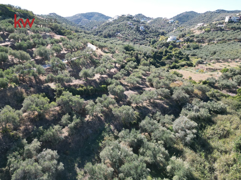 Οικόπεδο 4.245,70 τ.μ. προς πώληση, Σταλός