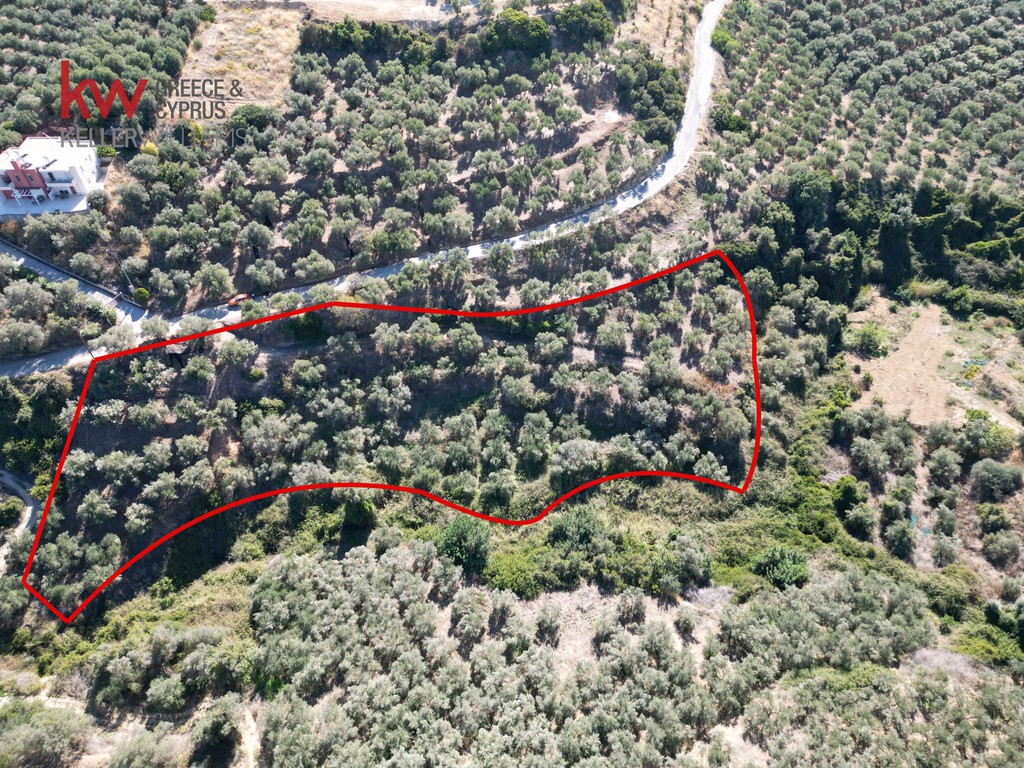 Οικόπεδο 4.245,70 τ.μ. προς πώληση, Σταλός