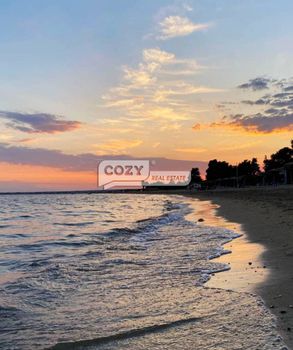 Αγροτεμάχια 22.000τ.μ. για πώληση-Πολύγυρος » Σκάλα γερακινής