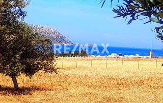 Αγροτεμάχια 4.557 τ.μ. για πώληση