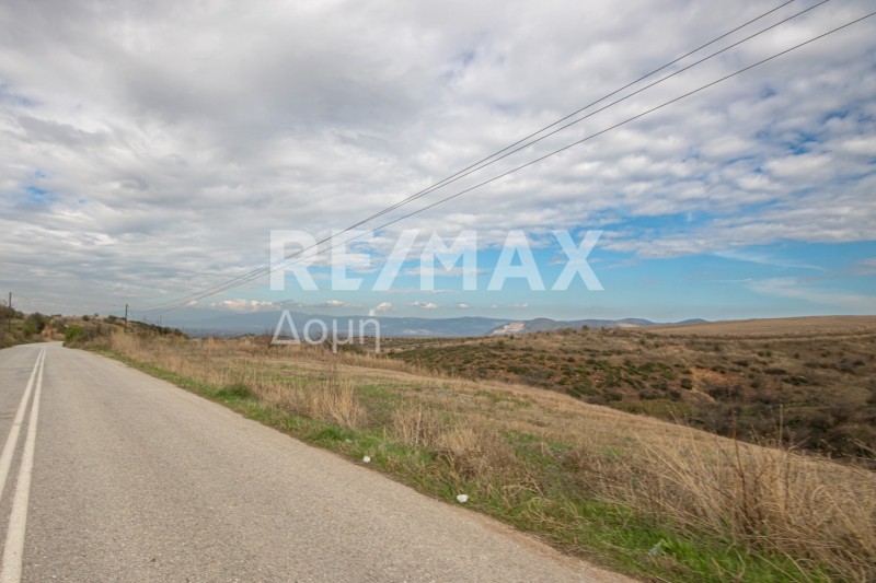 Αγροτεμάχια 10.000 τ.μ. προς πώληση, Βελεστίνο