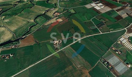 Parcel 7.358sqm for sale-Alaminos