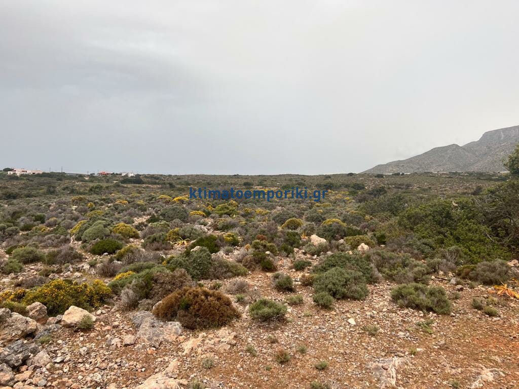 Οικόπεδο 12.014 τ.μ. προς πώληση, Ινναχώρι