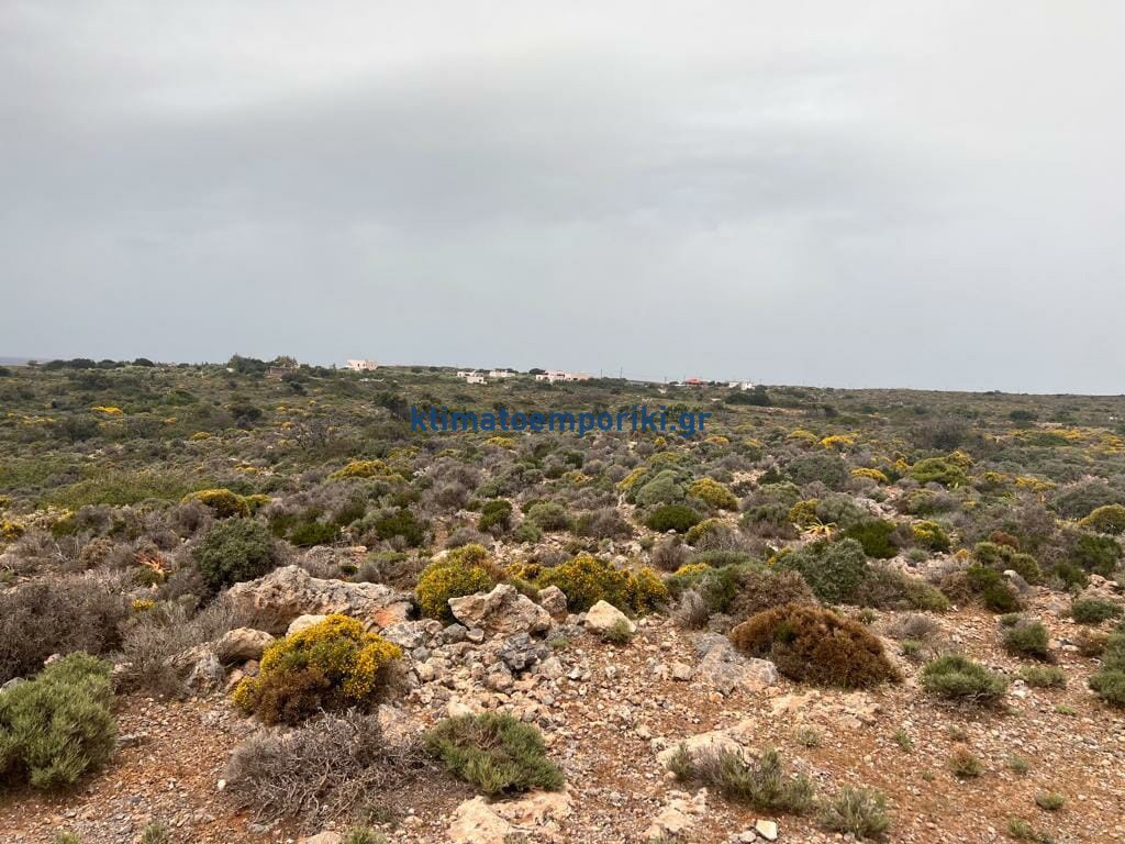 Οικόπεδο 12.014 τ.μ. προς πώληση, Ινναχώρι