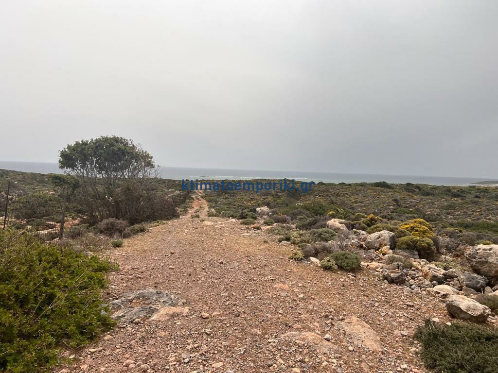 Οικόπεδο 12.014 τ.μ. προς πώληση, Ινναχώρι