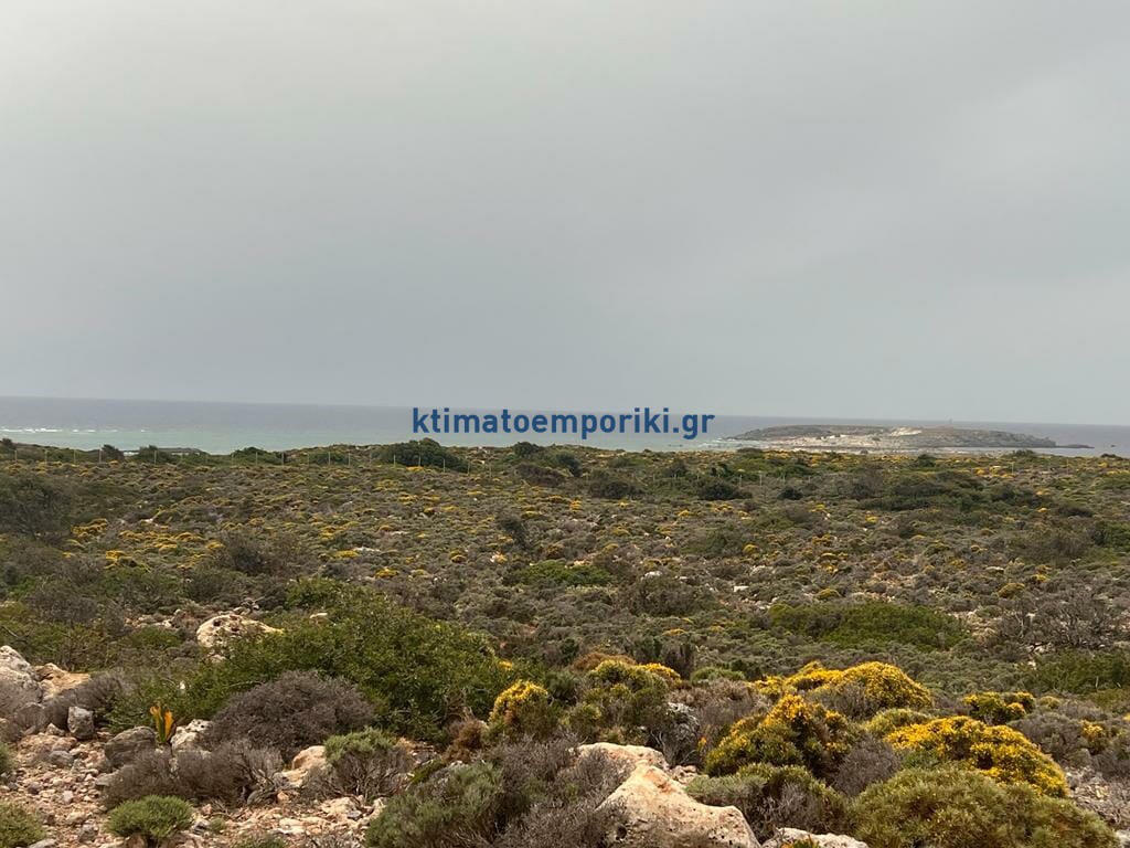 Οικόπεδο 12.014 τ.μ. προς πώληση, Ινναχώρι