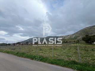 Οικόπεδο 5.000 τ.μ. για πώληση