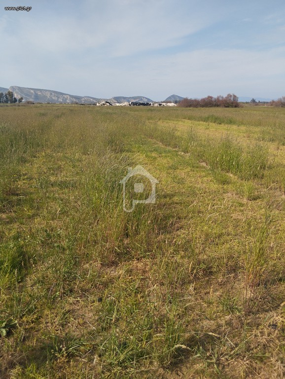 Αγροτεμάχια 27.000 τ.μ. πρός πώληση, Αχαΐα, Λάρισσος