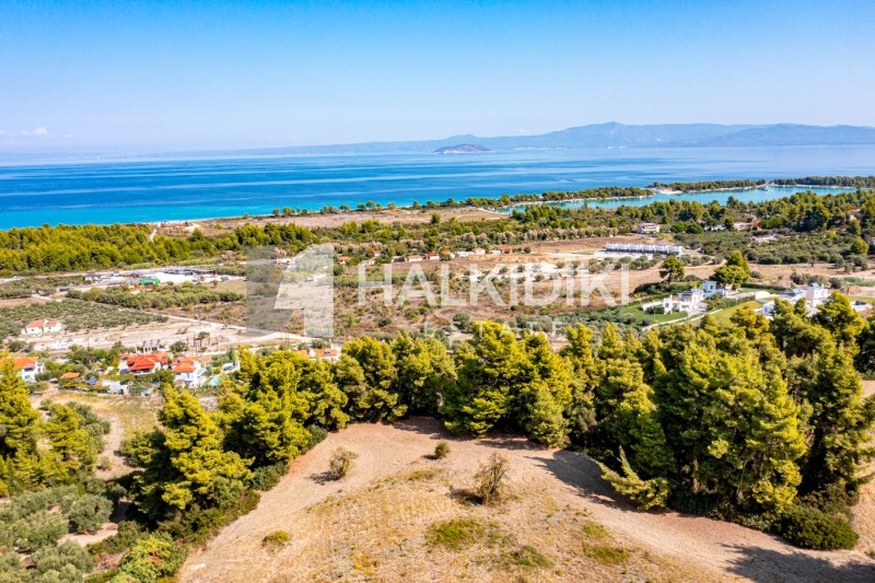 Αγροτεμάχια 4.219 τ.μ. προς πώληση, Πευκοχώρι