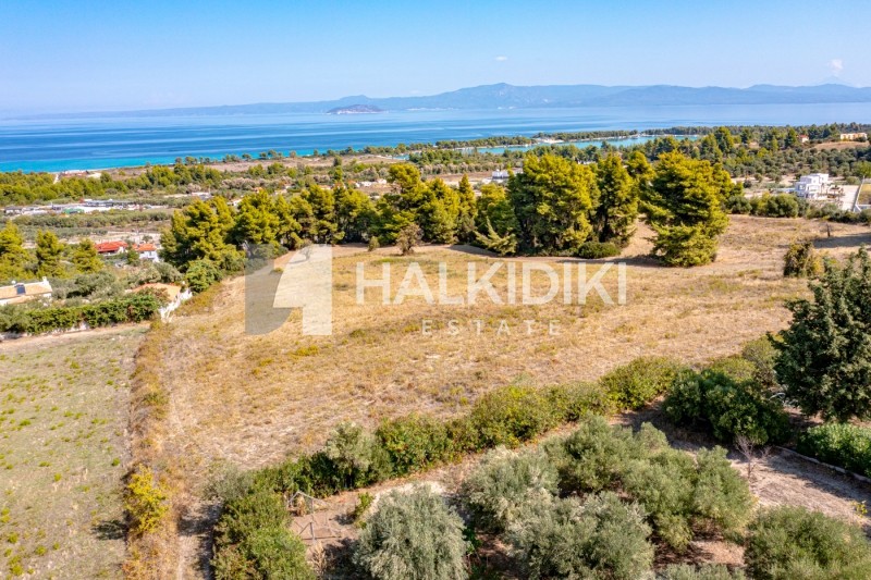 Αγροτεμάχια 4.219 τ.μ. προς πώληση, Πευκοχώρι