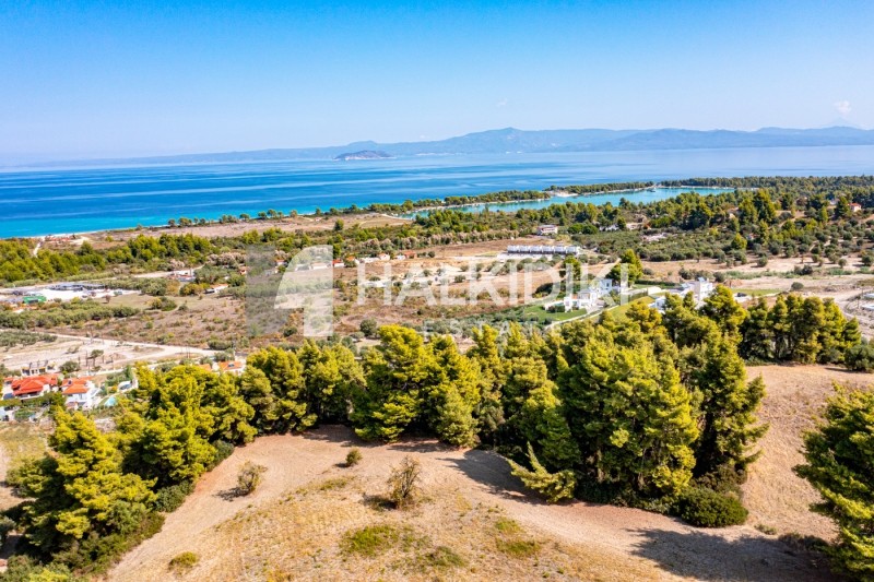 Αγροτεμάχια 4.219 τ.μ. προς πώληση, Πευκοχώρι