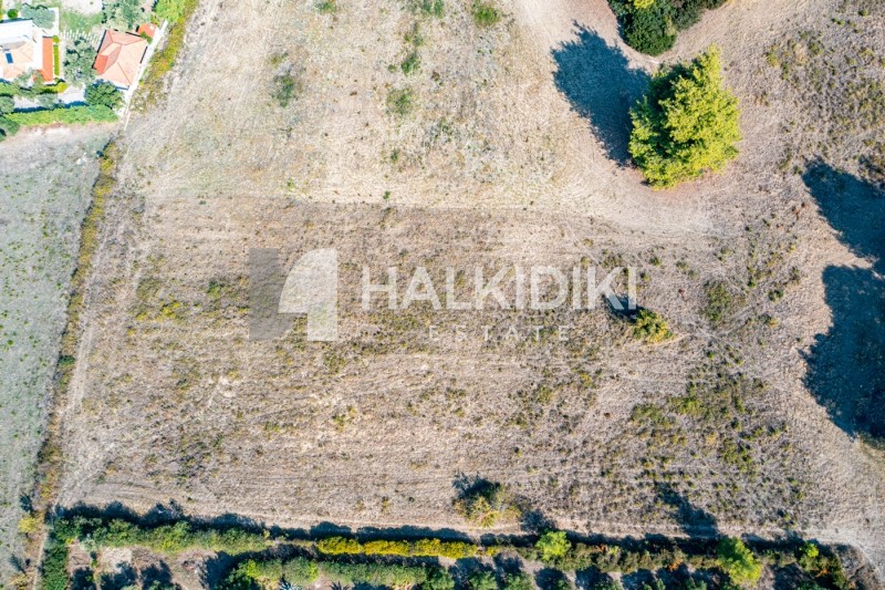 Αγροτεμάχια 4.219 τ.μ. προς πώληση, Πευκοχώρι