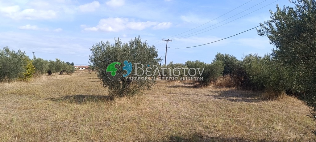 Αγροτεμάχια 4.580 τ.μ. πρός πώληση, Χαλκιδική, Μουδανιά