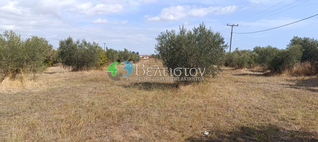 Αγροτεμάχια 4.580 τ.μ. πρός πώληση, Χαλκιδική, Μουδανιά