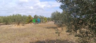 Αγροτεμάχια 4.580 τ.μ. για πώληση