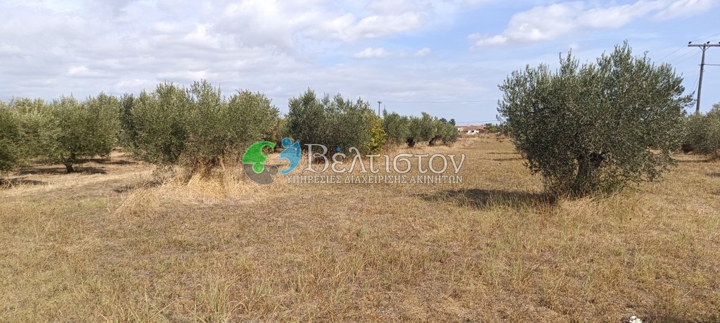 Αγροτεμάχια 4.580 τ.μ. πρός πώληση, Χαλκιδική, Μουδανιά
