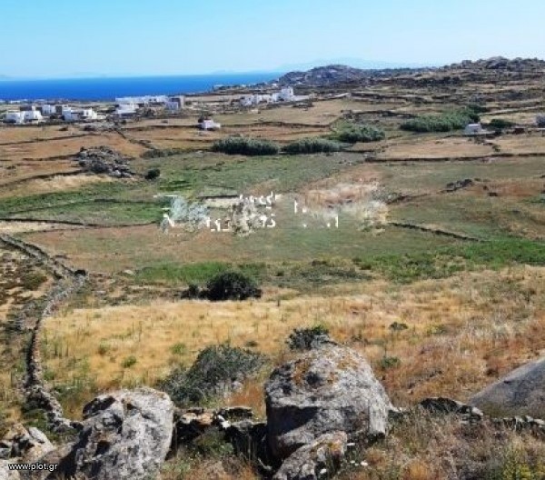 Αγροτεμάχια 4.350 τ.μ. πρός πώληση, Κυκλάδες, Μύκονος