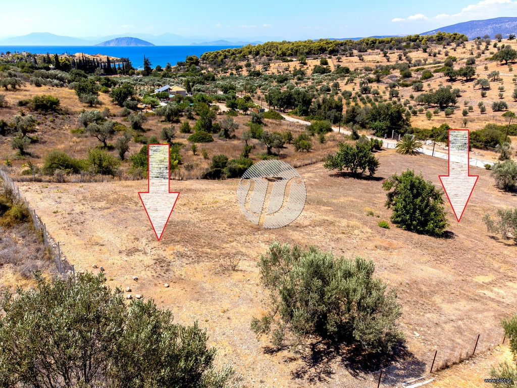 Οικόπεδο 4.018 τ.μ. πρός πώληση, Αργολίδα, Κρανίδι