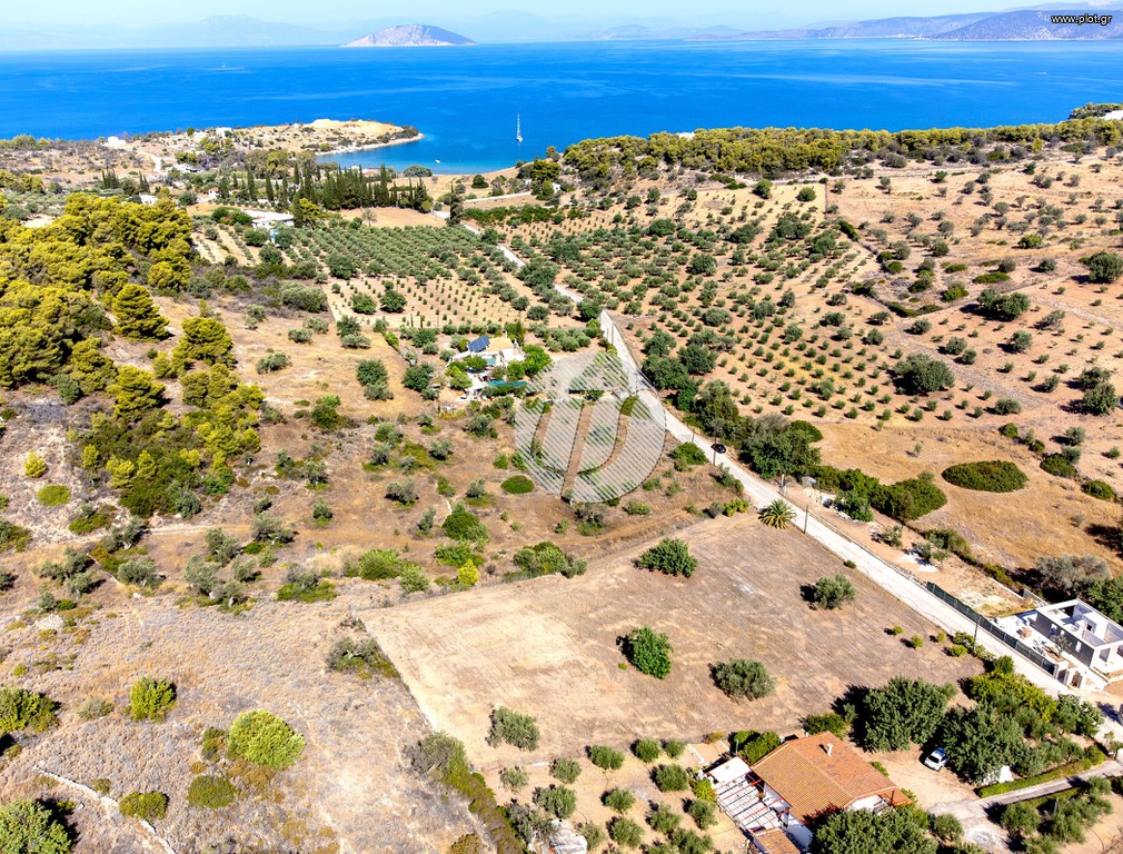 Οικόπεδο 4.018 τ.μ. πρός πώληση, Αργολίδα, Κρανίδι