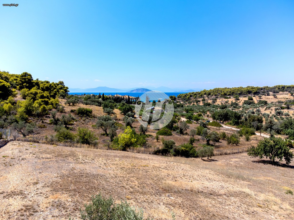 Οικόπεδο 4.018 τ.μ. πρός πώληση, Αργολίδα, Κρανίδι