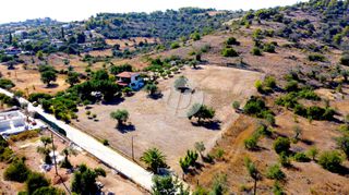Οικόπεδο 4.018 τ.μ. πρός πώληση, Αργολίδα, Κρανίδι-thumb-6