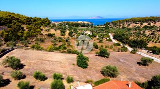 Οικόπεδο 4.018 τ.μ. πρός πώληση, Αργολίδα, Κρανίδι-thumb-7