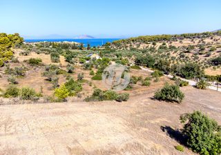 Οικόπεδο 4.018 τ.μ. πρός πώληση, Αργολίδα, Κρανίδι-thumb-8