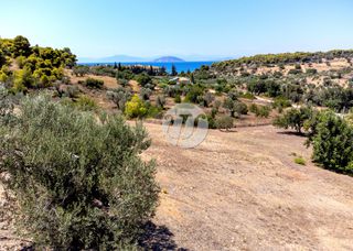 Οικόπεδο 4.018 τ.μ. πρός πώληση, Αργολίδα, Κρανίδι-thumb-11