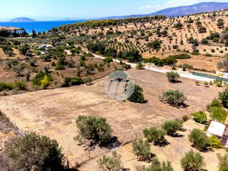 Οικόπεδο 4.018 τ.μ. πρός πώληση, Αργολίδα, Κρανίδι-thumb-14