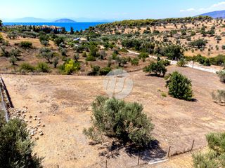 Οικόπεδο 4.018 τ.μ. πρός πώληση, Αργολίδα, Κρανίδι-thumb-15