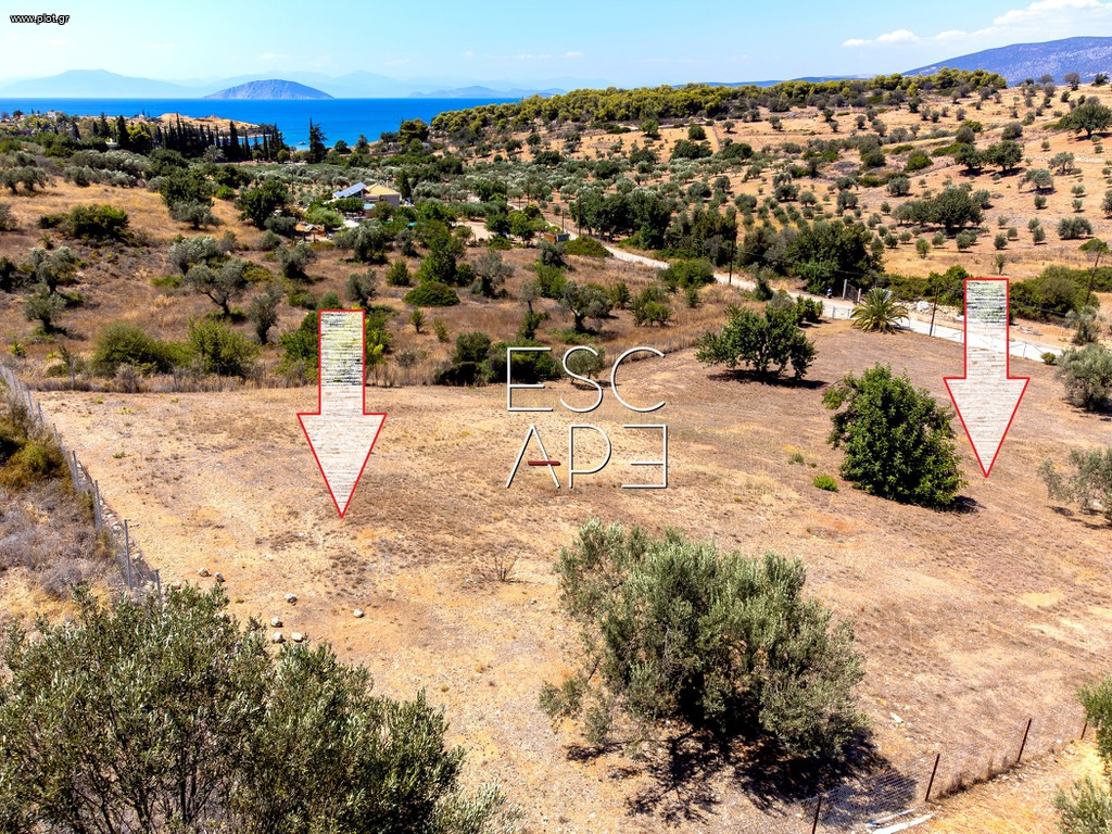 Οικόπεδο 4.018 τ.μ. προς πώληση, Δορούφι