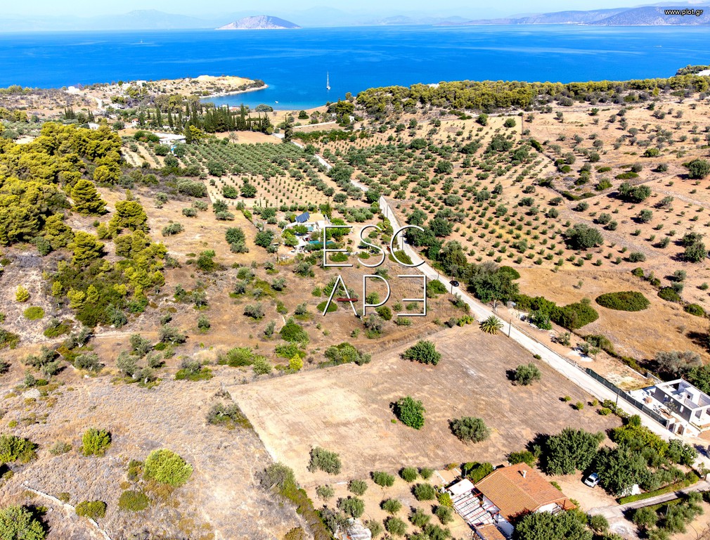 Οικόπεδο 4.018 τ.μ. προς πώληση, Δορούφι