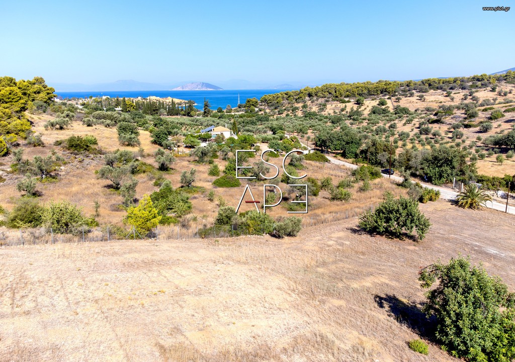 Οικόπεδο 4.018 τ.μ. προς πώληση, Δορούφι