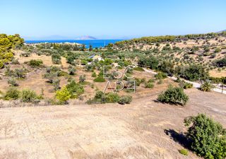 Οικόπεδο 4.018 τ.μ. προς πώληση, Δορούφι-thumb-4