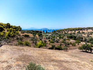 Οικόπεδο 4.018 τ.μ. προς πώληση, Δορούφι-thumb-10