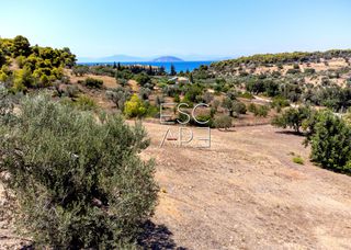 Οικόπεδο 4.018 τ.μ. προς πώληση, Δορούφι-thumb-11