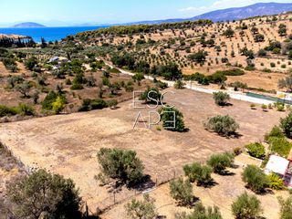Οικόπεδο 4.018 τ.μ. προς πώληση, Δορούφι-thumb-14