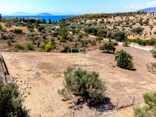 Οικόπεδο 4.018 τ.μ. προς πώληση, Δορούφι-thumb-15