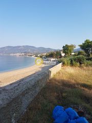 Οικόπεδο 4.100 τ.μ. για πώληση, Ν. Λέσβου, Λέσβος - Πλωμάρι-thumb-5