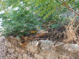 Άλλο 242,09 τ.μ. για πώληση, Ν. Ρεθύμνου, Ρέθυμνο-thumb-8