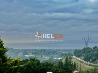 Μονοκατοικία 240 τ.μ. για πώληση, Αχαΐα, Μεσσατίδα-thumb-13