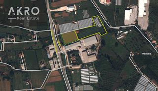 Αγροτεμάχια 12.500 τ.μ. για πώληση