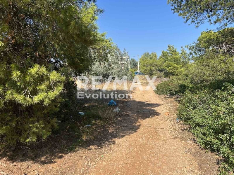 Οικόπεδο 358 τ.μ. πρός πώληση, Αθήνα - Ανατολικά Προάστια, Αρτέμιδα (λούτσα)