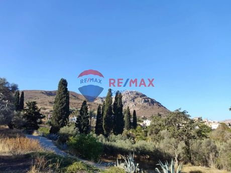 Land plot 2.000sqm for sale-Gortina » Vasilika Anogeia