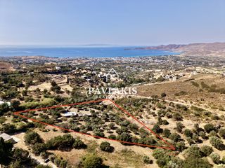Οικόπεδο 8.000 τ.μ. για πώληση