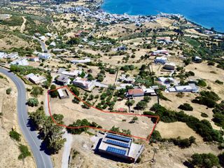Αγροτεμάχια 2.500 τ.μ. για πώληση