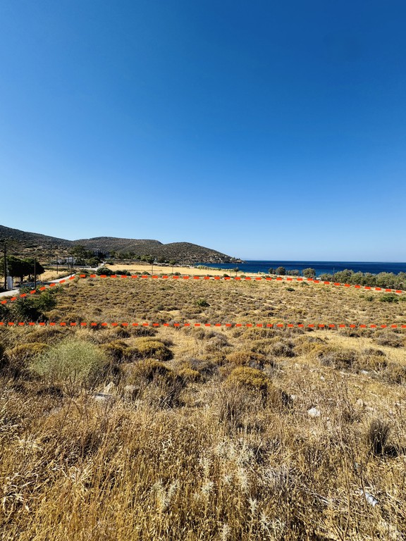 Οικόπεδο 10.495 τ.μ. πρός πώληση, Εύβοια, Κάρυστος