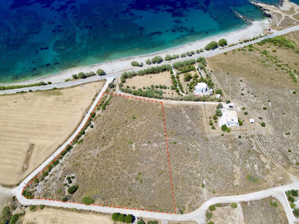 Οικόπεδο 10.495 τ.μ. πρός πώληση, Εύβοια, Κάρυστος